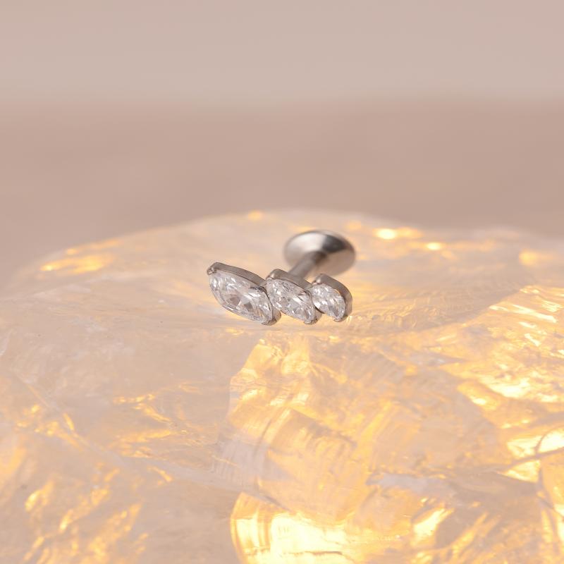 Non-Tarnish Trendy Titanium Dragonfly zircon earrings