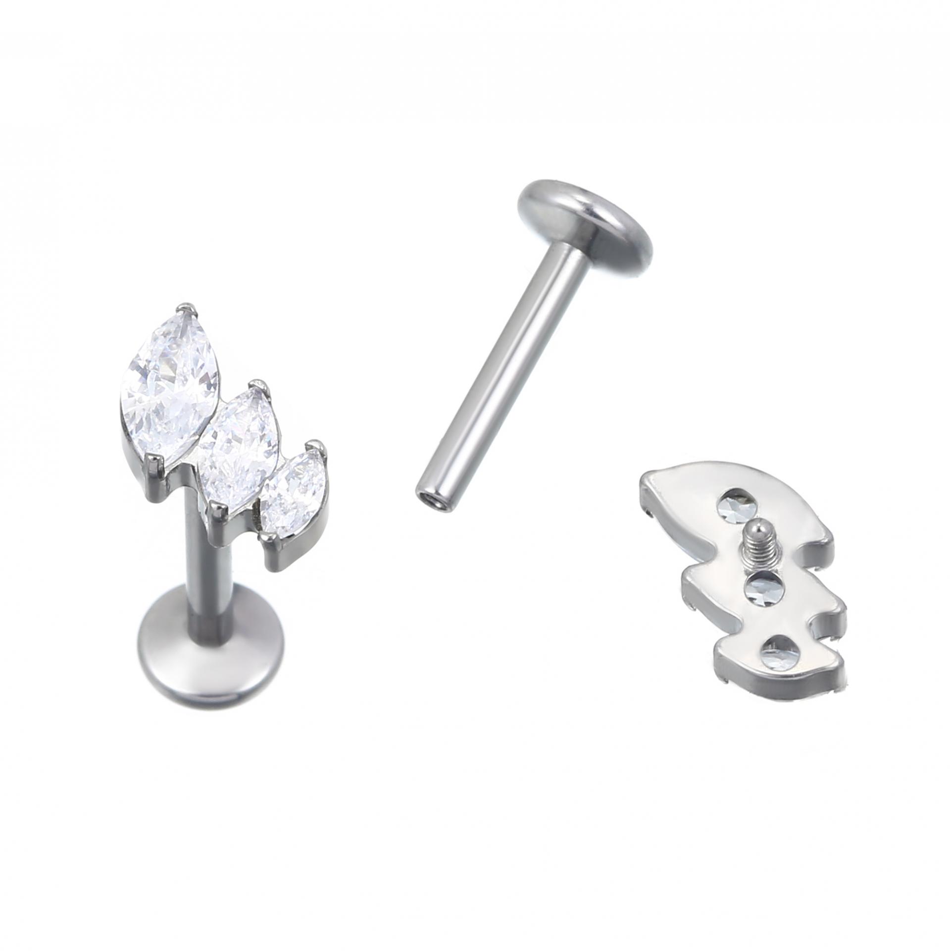 Non-Tarnish Trendy Titanium Dragonfly zircon earrings