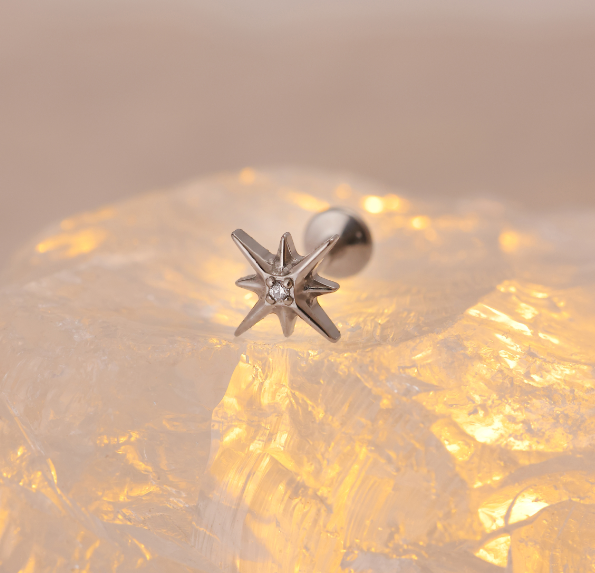 Hypoallergenic wing star shaped stud earrings