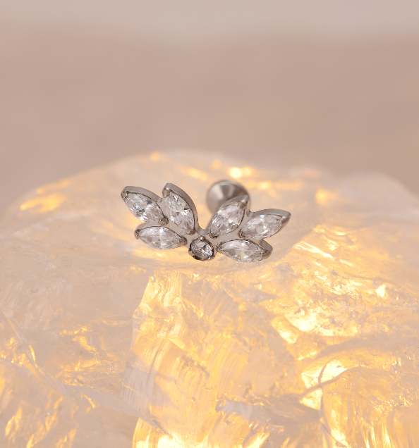 Hypoallergenic wing star shaped stud earrings